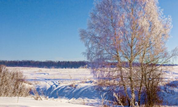 Beautiful winter landscape in Russia, Moscow region. The concept of Christmas, winter outdoor recreation.