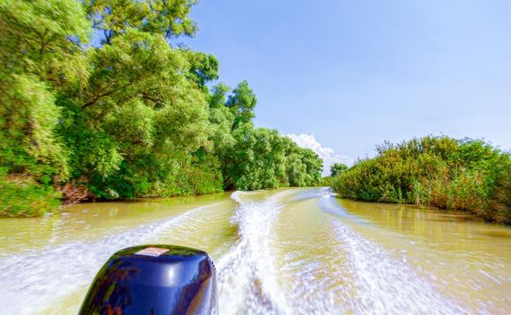 Beautiful view from the motorboat to the dense greens and the warm river. Russia, Krasnodar region. Travel concept, summer vacation.