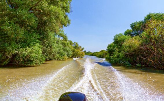 Beautiful view from the motorboat to the dense greens and the warm river. Russia, Krasnodar region. Travel concept, summer vacation.