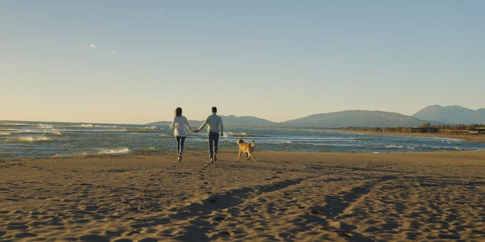 Couple Running On The Beach Holding Their Hands with dog On autmun day