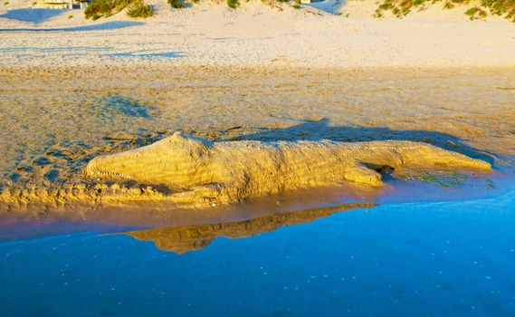 Sculpture of a crocodile made of sand illuminated by the morning sun on the beach of the tropical sea. The concept of a family vacation at sea.