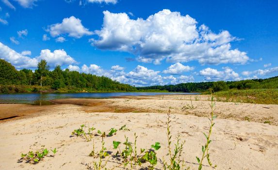 Wild sandy beach near the river on a fine summer day. Only blue sky, sand and a quiet river. Russia, Kostroma region, Kozionikha village. The concept of tourism, native land.