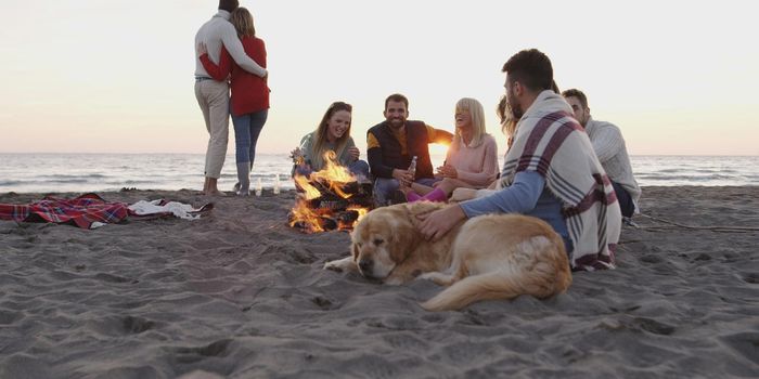 Group of friends with dog relaxing around bonfire on the beach at sunset