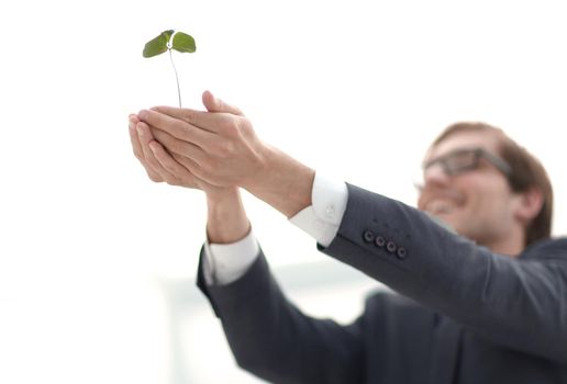 close up.happy businessman showing first sprout.photo with copy space