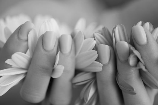 beauty delicate woman hands with manicure holding flower close up