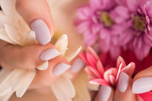 beauty delicate woman hands with manicure holding flower close up