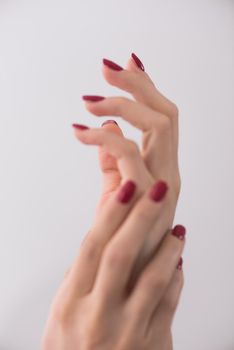 closeup of hands of a young woman with long red manicure on nails against white background