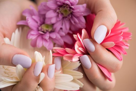 beauty delicate woman hands with manicure holding flower close up