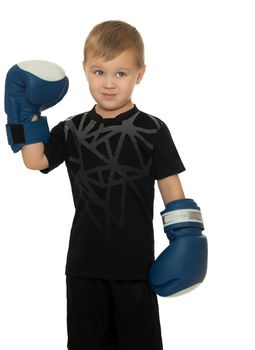 Little boy engaged in Boxing. In his hands he's got the Boxing gloves. Close-up- Isolated on white background