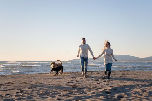 Couple Running On The Beach Holding Their Hands with dog On autmun day