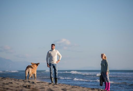 Couple Running On The Beach Holding Their Hands with dog On autmun day