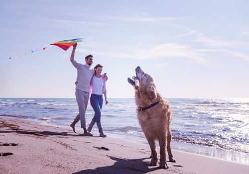 Young Couple having fun playing with a dog and Kite on the beach at autumn day filter