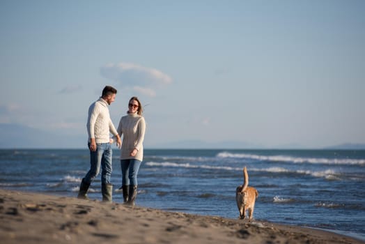 Couple Running On The Beach Holding Their Hands with dog On autmun day