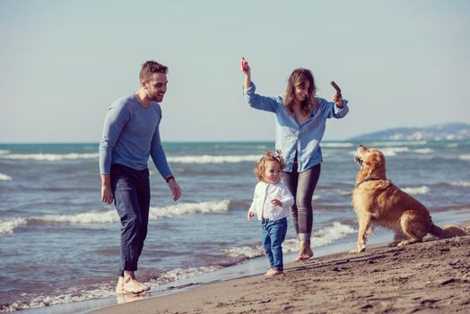 happy young family with kids having fun with a dog and  kite at beach during autumn day filter