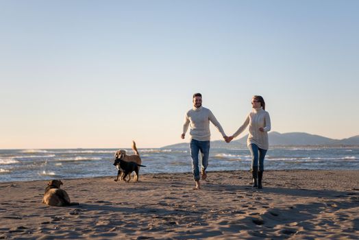 Couple Running On The Beach Holding Their Hands with dog On autmun day