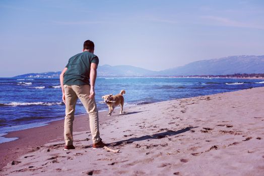 man with dog enjoying free time on the beach at autumn day filter