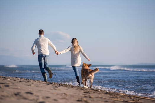 Couple Running On The Beach Holding Their Hands with dog On autmun day