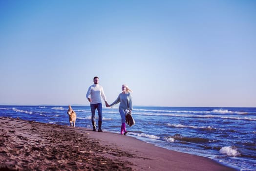 Couple Running On The Beach Holding Their Hands with dog On autmun day