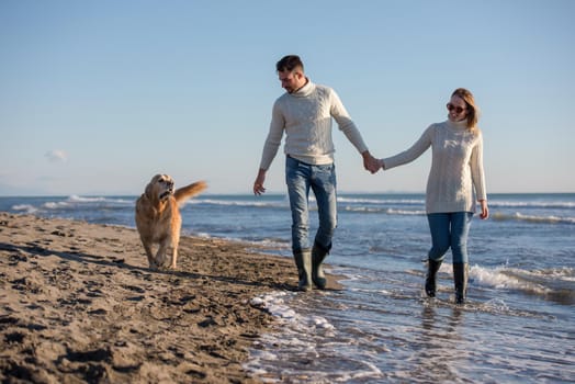 Couple Running On The Beach Holding Their Hands with dog On autmun day