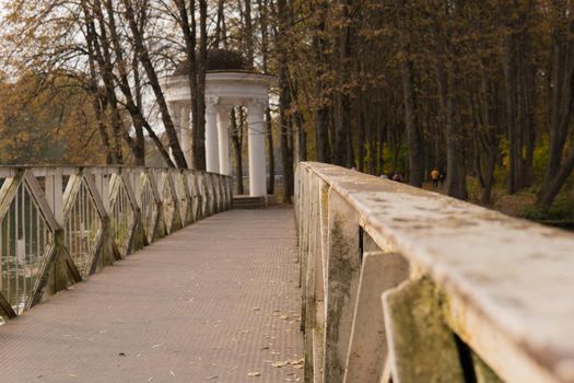 Bridge park colorful beautiful landscape light european woods path, scenics pathway. Netherlands brown, rural vibrant