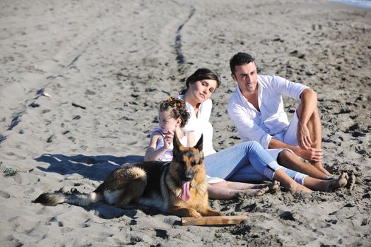 happy young family in white clothing have fun and play with beautiful dog at vacations on beautiful beach 