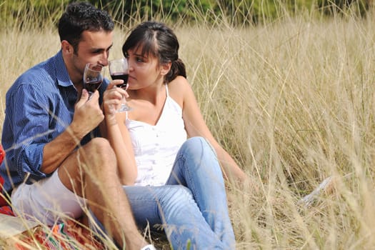 happy young couple enjoying  picnic on the countryside in the field  and have good time