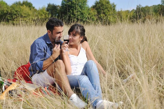 happy young couple enjoying  picnic on the countryside in the field  and have good time