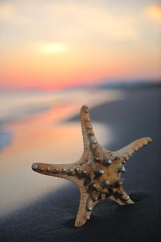 summer beach sunset with star on beach representing freedom freshnes and travel concept