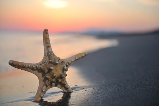 summer beach sunset with star on beach representing freedom freshnes and travel concept