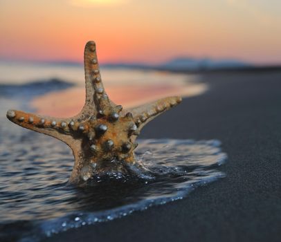 summer beach sunset with star on beach representing freedom freshnes and travel concept