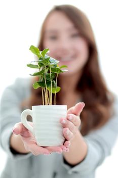 close up.a woman's business shows you a sapling.The concept of ecological consciousness