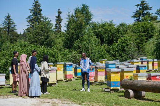 african muslim people group visiting local honey production farm
