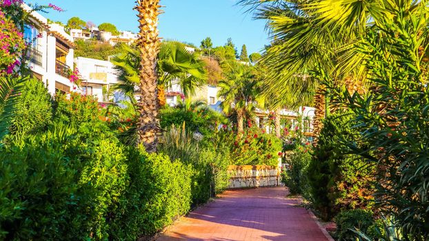 A beautiful street of a small town with tropical plants on the Mediterranean coast