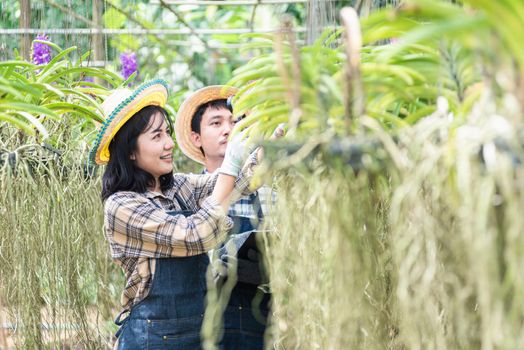 Young couple farmers checking their orchid gardening farm, woman and man check quality of orchid flower by magnifying glass together and take notes in garden greenhouse, Agricultural concepts