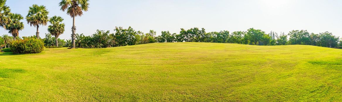 Panorama green grass on a golf field ,Panorama green field landscape