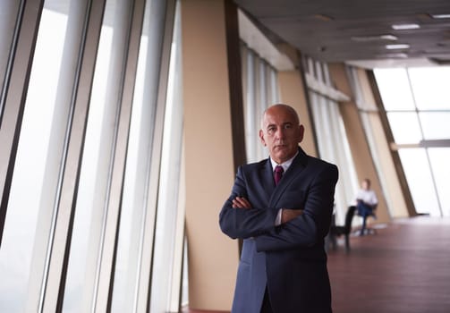 portrait of senior business man alone in modern corporate  office indoors