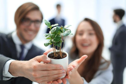 seedling in the hands of young business people .The concept of ecological consciousness