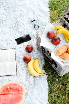 Convenient box for food, fruits, opened book and smartphone on plaid and grass. Concept of picnic accessories and healthy food, modern technology.