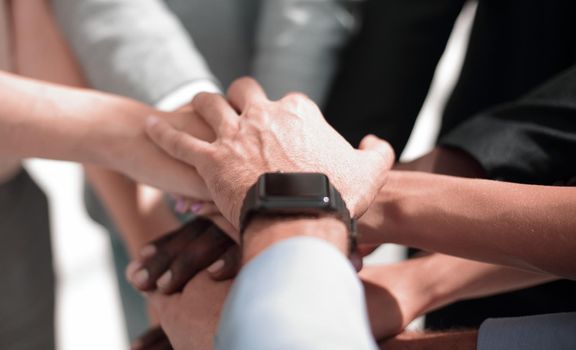 a group of multinational colleagues folded their hands in a pile. The big plan.