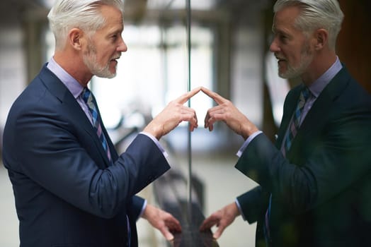 portrait of senior business man with grey beard and hair alone i modern office indoors