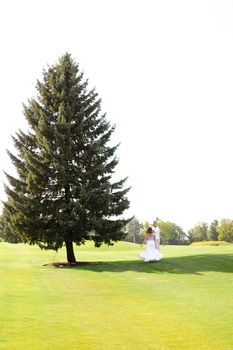 Young happy bride and groom walking near green big spruce on grass in white sky background. Concept of evergreens and wedding.