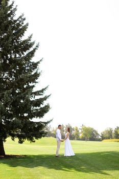 Young european bride and groom walking near green big spruce on grass in white sky background. Concept of evergreens and wedding.