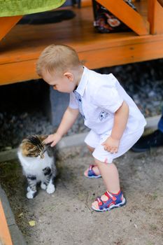 Little male baby playing with cat. Concept of child and pet.