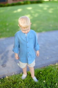 Little blond boy in jeans shirt standing on grass. Concept of kids and childhood.