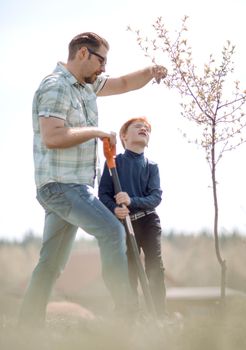 little boy helps his father to plant a tree.the concept of family education