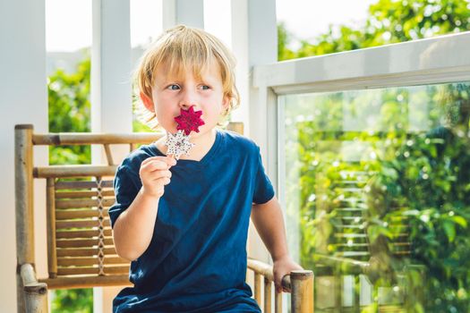 The boy holds smoothies from a dragon fruit with a mint leaf and a drinking straw.