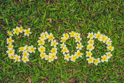 The inscription of a good morning on the grass. Flowers frangipani.