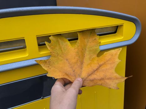 Womans hand puts yellow maple leaf in mailbox