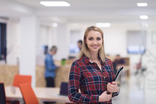 portrait of young business woman at modern startup office interior, team in meeting in background