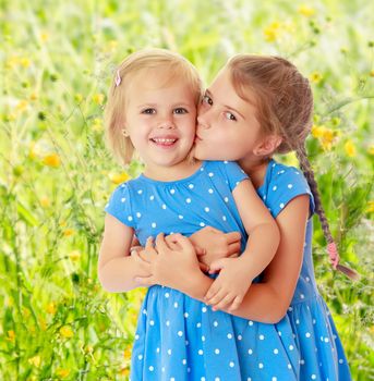 Two charming little girls, sisters , in identical blue dresses with polka dots. Older sister kissing the younger on the cheek.On the background of green grass. The concept of a family holiday.